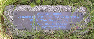 PLAQUE 036 Action 2000.JPG